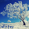 Зима           - Страница 2 2588495